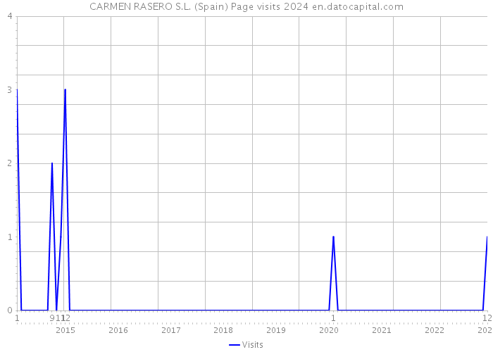 CARMEN RASERO S.L. (Spain) Page visits 2024 