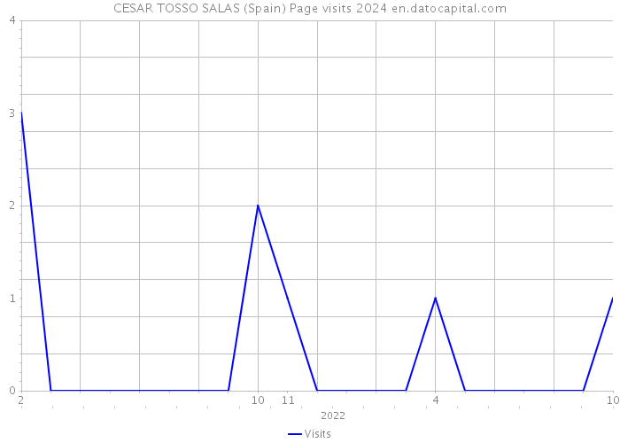 CESAR TOSSO SALAS (Spain) Page visits 2024 
