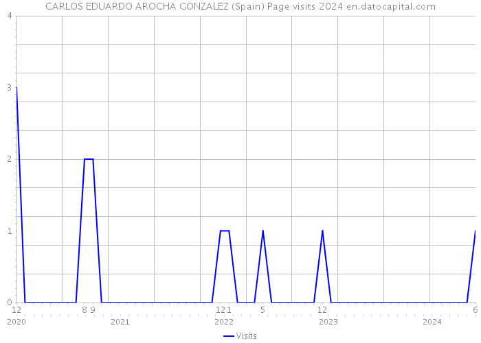 CARLOS EDUARDO AROCHA GONZALEZ (Spain) Page visits 2024 