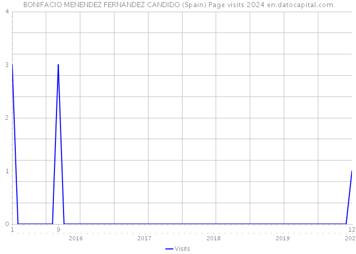 BONIFACIO MENENDEZ FERNANDEZ CANDIDO (Spain) Page visits 2024 