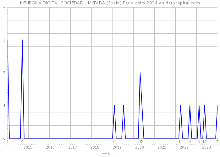 NEURONA DIGITAL SOCIEDAD LIMITADA (Spain) Page visits 2024 