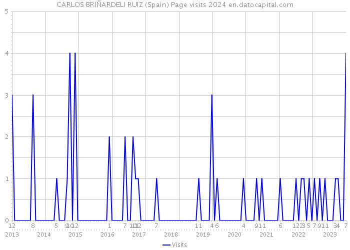 CARLOS BRIÑARDELI RUIZ (Spain) Page visits 2024 