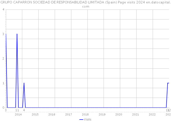 GRUPO CAPARRON SOCIEDAD DE RESPONSABILIDAD LIMITADA (Spain) Page visits 2024 