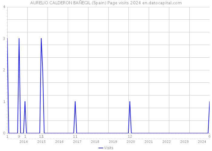 AURELIO CALDERON BAÑEGIL (Spain) Page visits 2024 