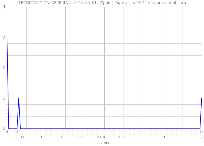 TECNICAS Y CALDERERIA LUSITANIA S.L. (Spain) Page visits 2024 