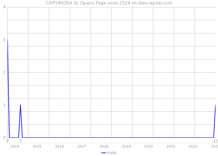 CINTUMODA SL (Spain) Page visits 2024 