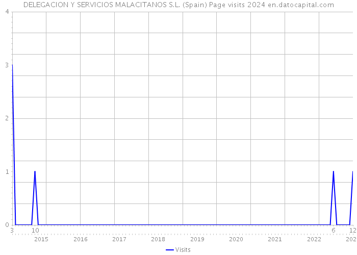 DELEGACION Y SERVICIOS MALACITANOS S.L. (Spain) Page visits 2024 