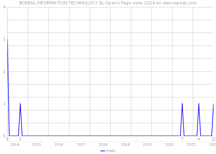 BOREAL INFORMATION TECHNOLOGY SL (Spain) Page visits 2024 