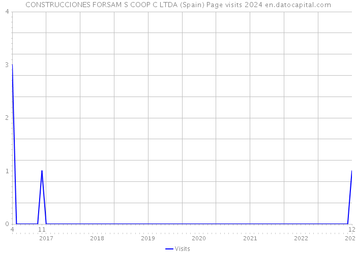 CONSTRUCCIONES FORSAM S COOP C LTDA (Spain) Page visits 2024 