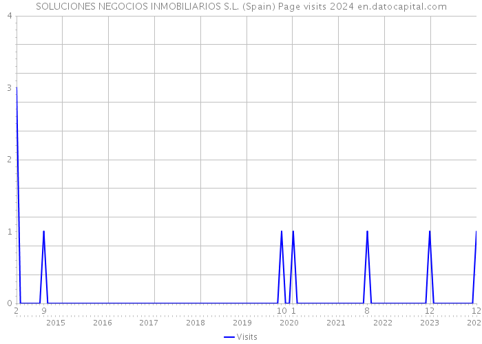 SOLUCIONES NEGOCIOS INMOBILIARIOS S.L. (Spain) Page visits 2024 