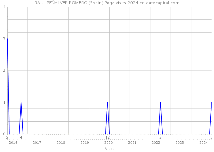RAUL PEÑALVER ROMERO (Spain) Page visits 2024 