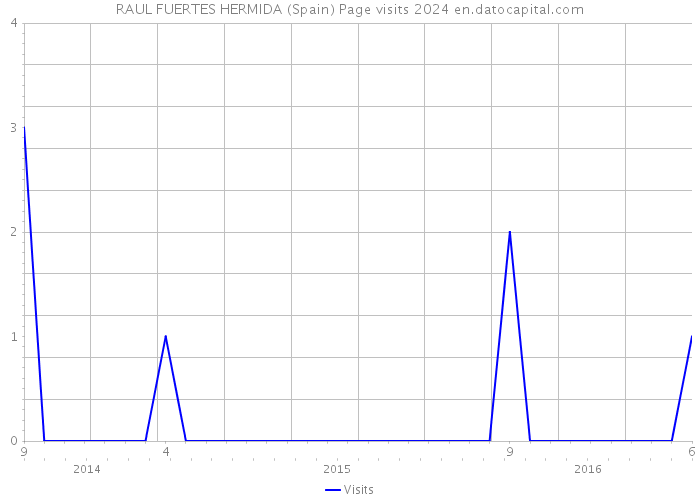 RAUL FUERTES HERMIDA (Spain) Page visits 2024 