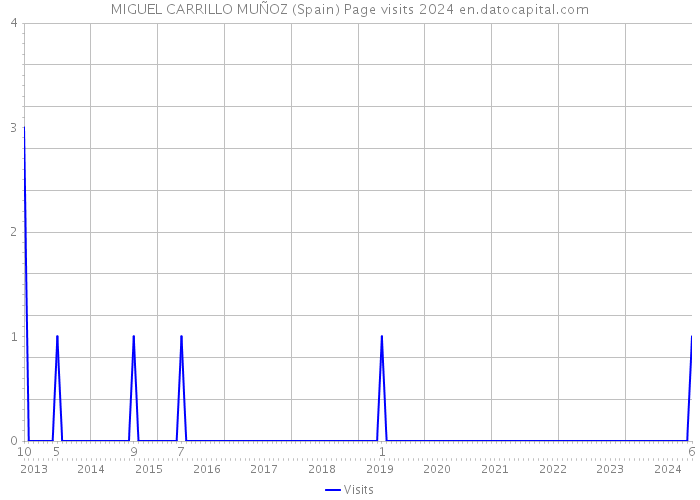 MIGUEL CARRILLO MUÑOZ (Spain) Page visits 2024 