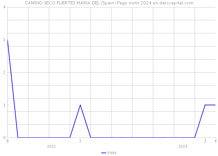 CAMINO SECO FUERTES MARIA DEL (Spain) Page visits 2024 