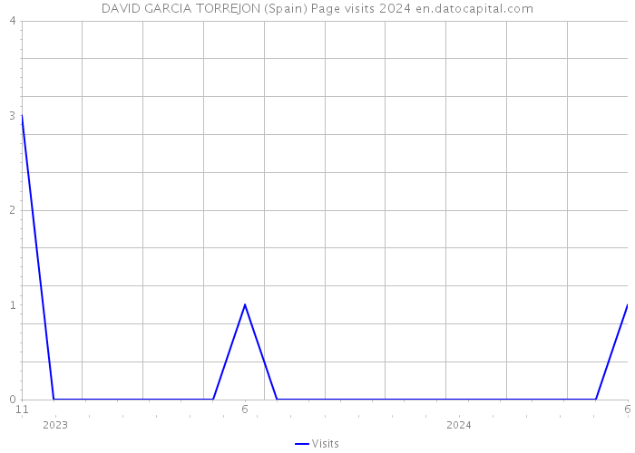 DAVID GARCIA TORREJON (Spain) Page visits 2024 