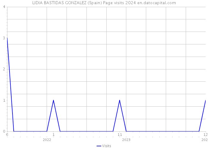 LIDIA BASTIDAS GONZALEZ (Spain) Page visits 2024 