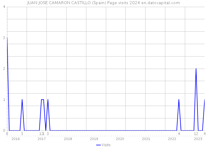 JUAN JOSE CAMARON CASTILLO (Spain) Page visits 2024 