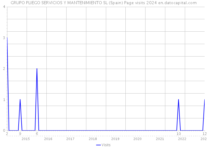 GRUPO PLIEGO SERVICIOS Y MANTENIMIENTO SL (Spain) Page visits 2024 