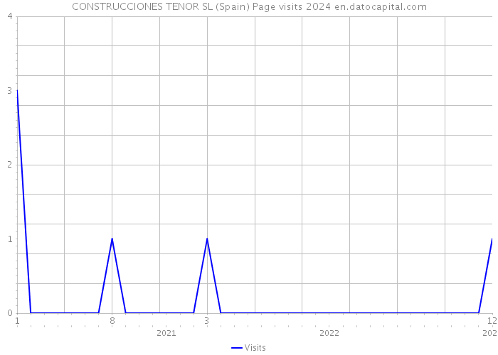 CONSTRUCCIONES TENOR SL (Spain) Page visits 2024 