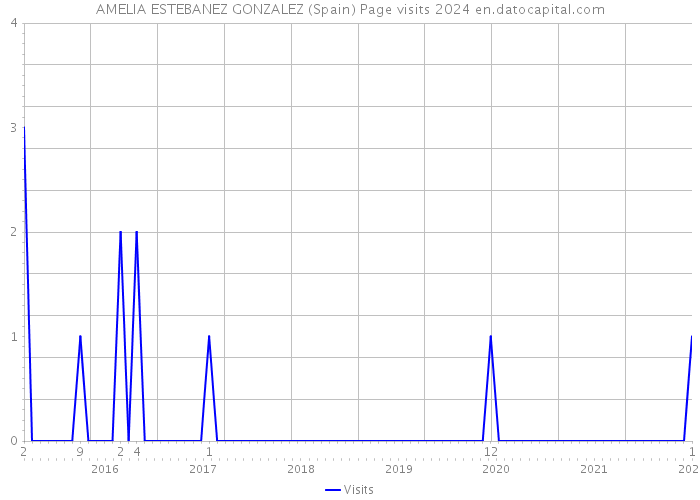 AMELIA ESTEBANEZ GONZALEZ (Spain) Page visits 2024 