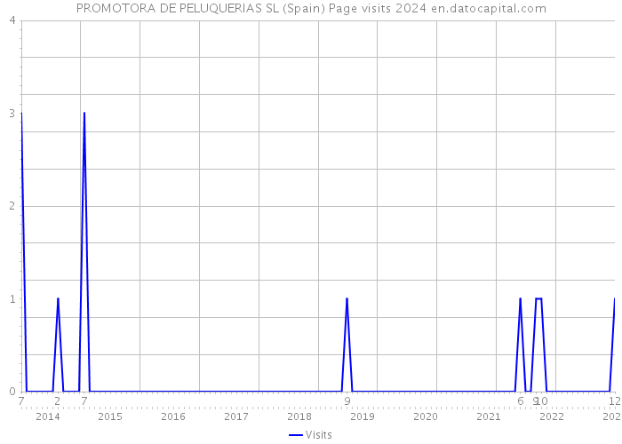 PROMOTORA DE PELUQUERIAS SL (Spain) Page visits 2024 