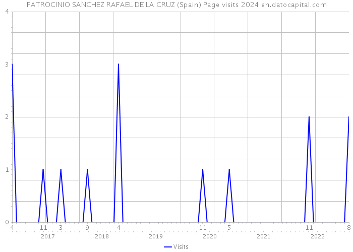 PATROCINIO SANCHEZ RAFAEL DE LA CRUZ (Spain) Page visits 2024 