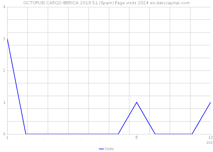 OCTOPUSI CARGO IBERICA 2019 S.L (Spain) Page visits 2024 