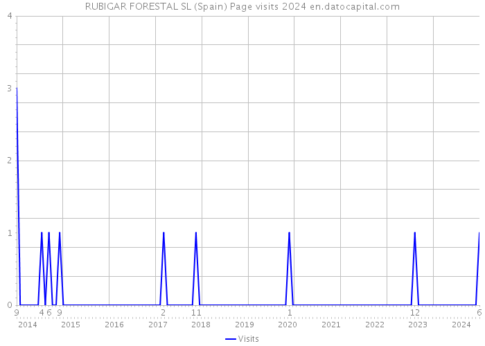 RUBIGAR FORESTAL SL (Spain) Page visits 2024 