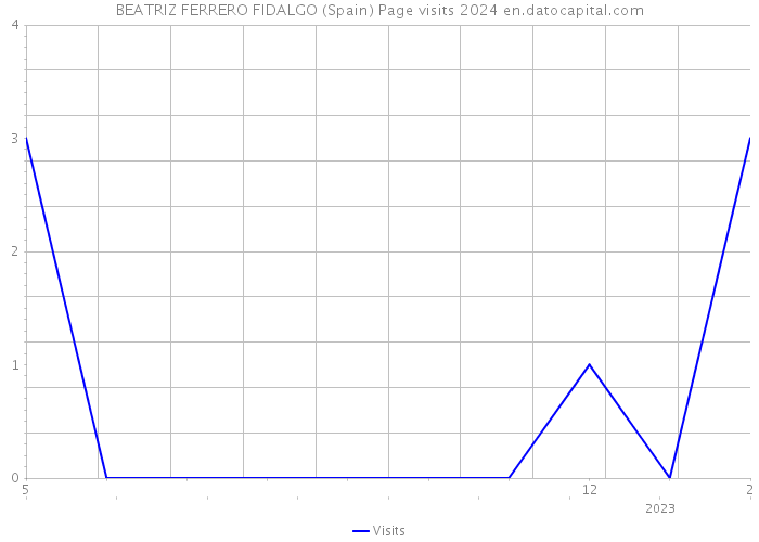 BEATRIZ FERRERO FIDALGO (Spain) Page visits 2024 
