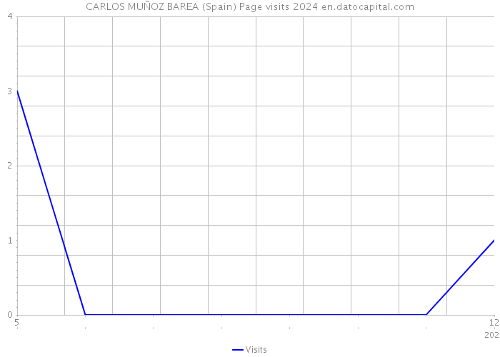 CARLOS MUÑOZ BAREA (Spain) Page visits 2024 