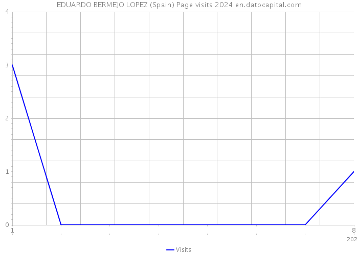 EDUARDO BERMEJO LOPEZ (Spain) Page visits 2024 