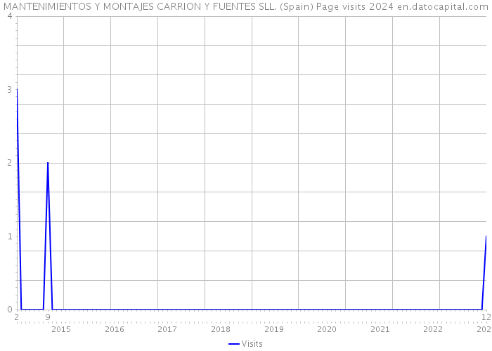 MANTENIMIENTOS Y MONTAJES CARRION Y FUENTES SLL. (Spain) Page visits 2024 