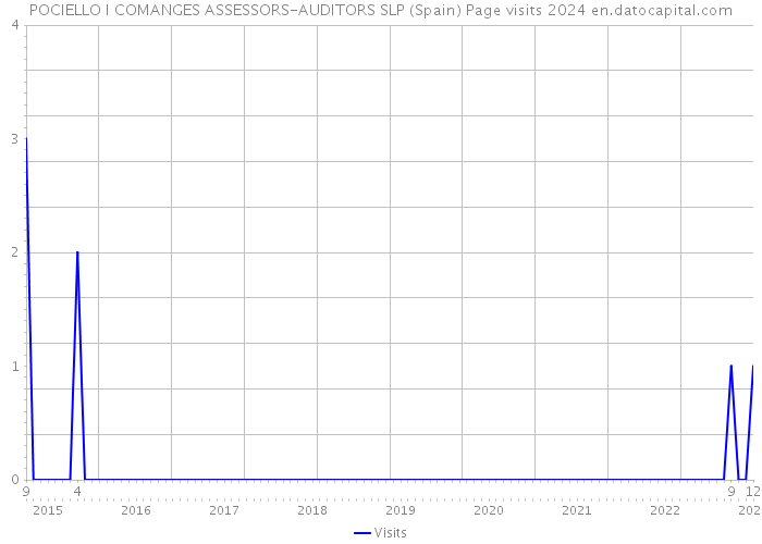 POCIELLO I COMANGES ASSESSORS-AUDITORS SLP (Spain) Page visits 2024 