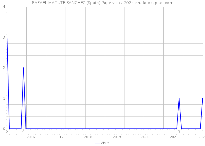 RAFAEL MATUTE SANCHEZ (Spain) Page visits 2024 