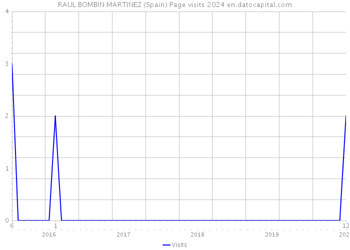 RAUL BOMBIN MARTINEZ (Spain) Page visits 2024 