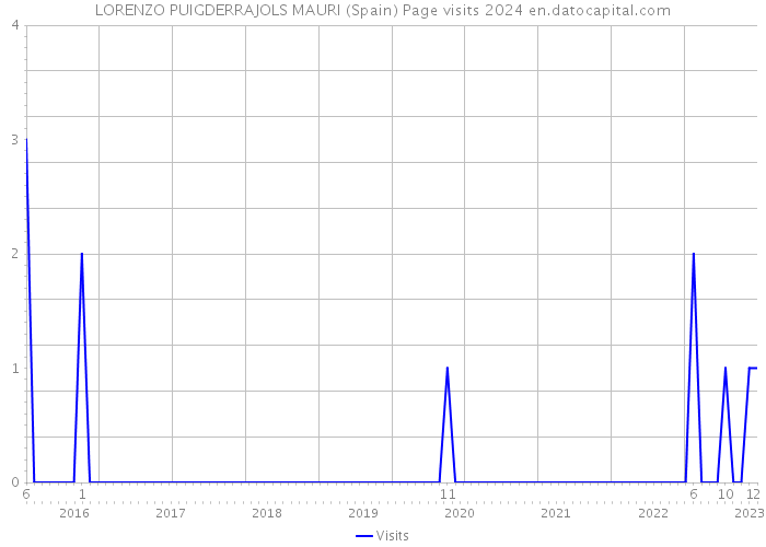 LORENZO PUIGDERRAJOLS MAURI (Spain) Page visits 2024 