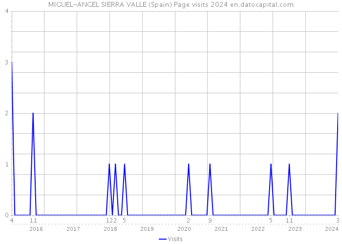 MIGUEL-ANGEL SIERRA VALLE (Spain) Page visits 2024 