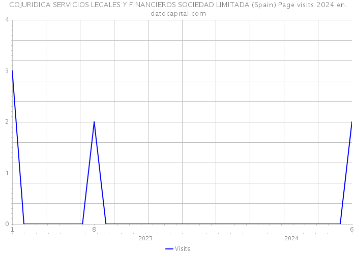 COJURIDICA SERVICIOS LEGALES Y FINANCIEROS SOCIEDAD LIMITADA (Spain) Page visits 2024 