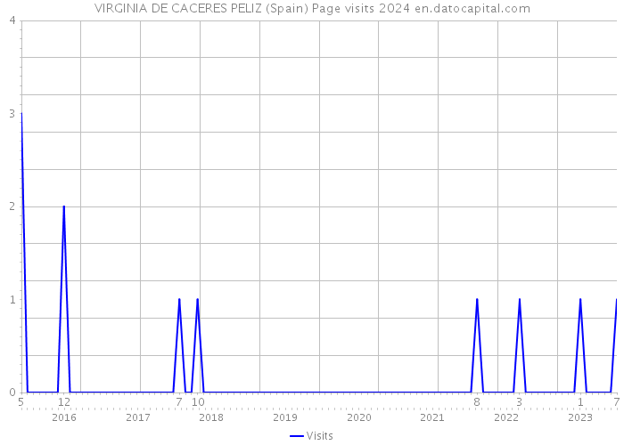 VIRGINIA DE CACERES PELIZ (Spain) Page visits 2024 