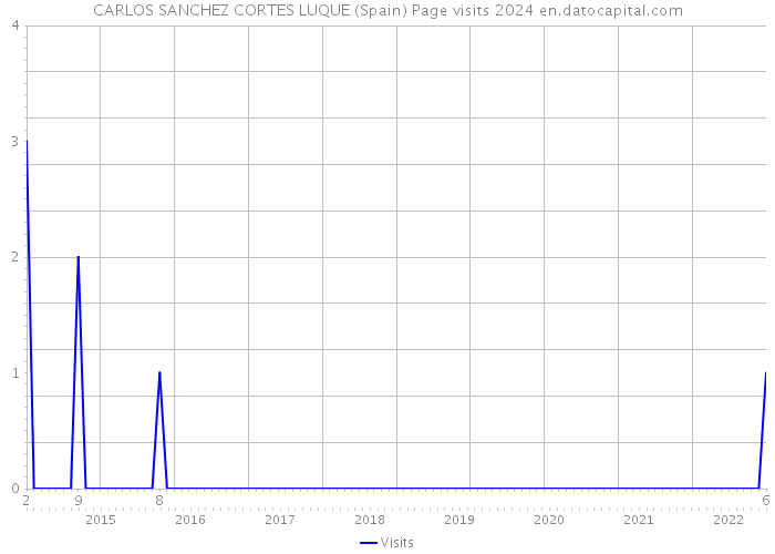 CARLOS SANCHEZ CORTES LUQUE (Spain) Page visits 2024 