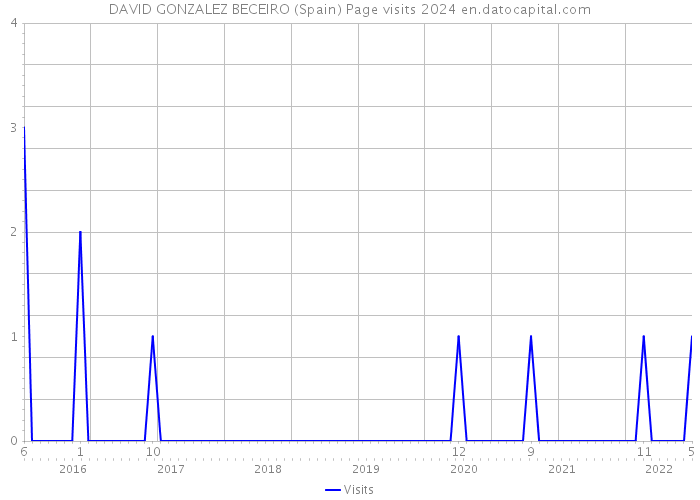 DAVID GONZALEZ BECEIRO (Spain) Page visits 2024 