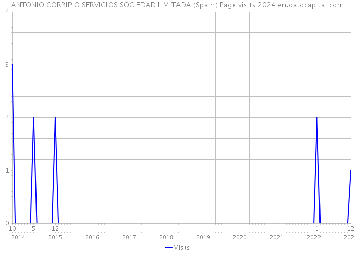 ANTONIO CORRIPIO SERVICIOS SOCIEDAD LIMITADA (Spain) Page visits 2024 