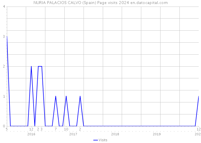 NURIA PALACIOS CALVO (Spain) Page visits 2024 