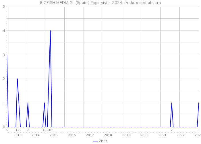 BIGFISH MEDIA SL (Spain) Page visits 2024 