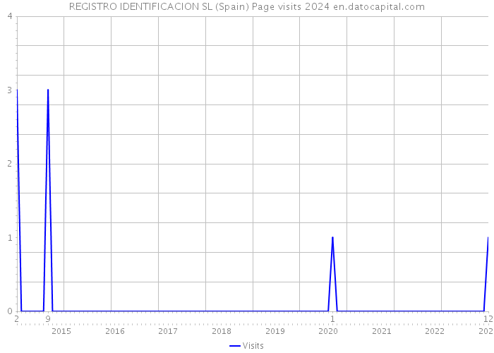 REGISTRO IDENTIFICACION SL (Spain) Page visits 2024 