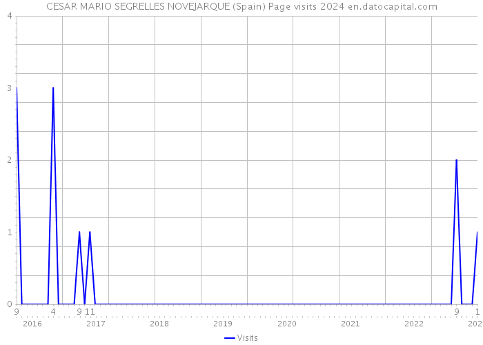CESAR MARIO SEGRELLES NOVEJARQUE (Spain) Page visits 2024 