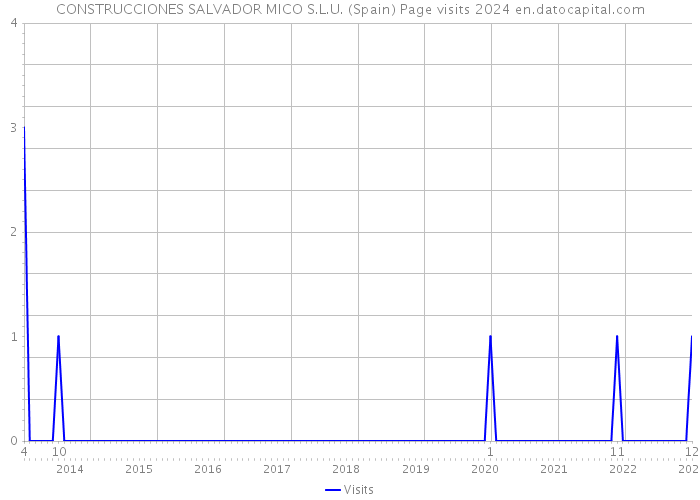 CONSTRUCCIONES SALVADOR MICO S.L.U. (Spain) Page visits 2024 