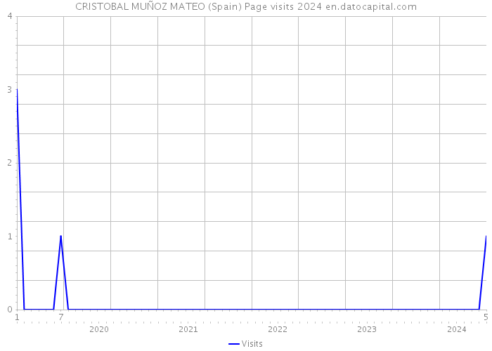 CRISTOBAL MUÑOZ MATEO (Spain) Page visits 2024 