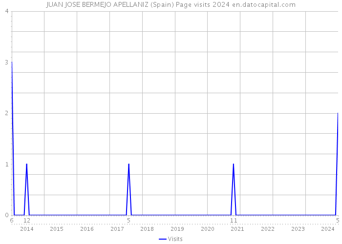 JUAN JOSE BERMEJO APELLANIZ (Spain) Page visits 2024 