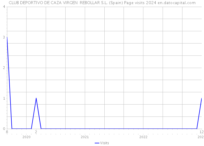 CLUB DEPORTIVO DE CAZA VIRGEN REBOLLAR S.L. (Spain) Page visits 2024 